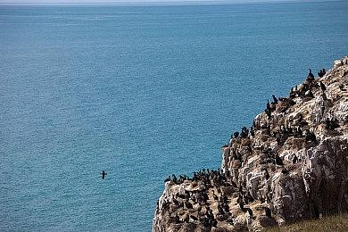 《全面战争模拟器》11月登陆Switch 同步推出地图编辑器更新